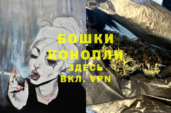 спиды Нефтекумск