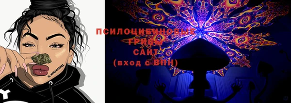 спиды Нефтекумск